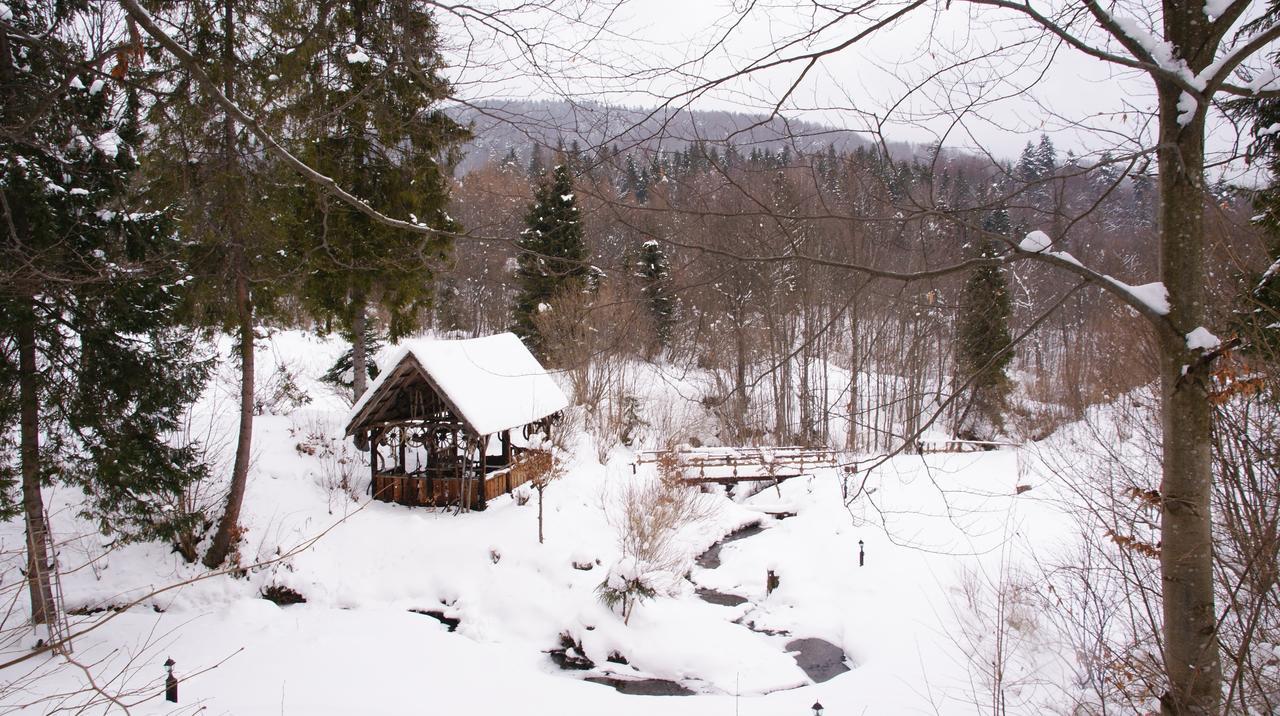 Karczma Brzeziniak Bed & Breakfast Cisna Exterior photo